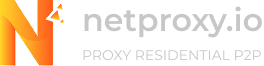 NetProxy logo